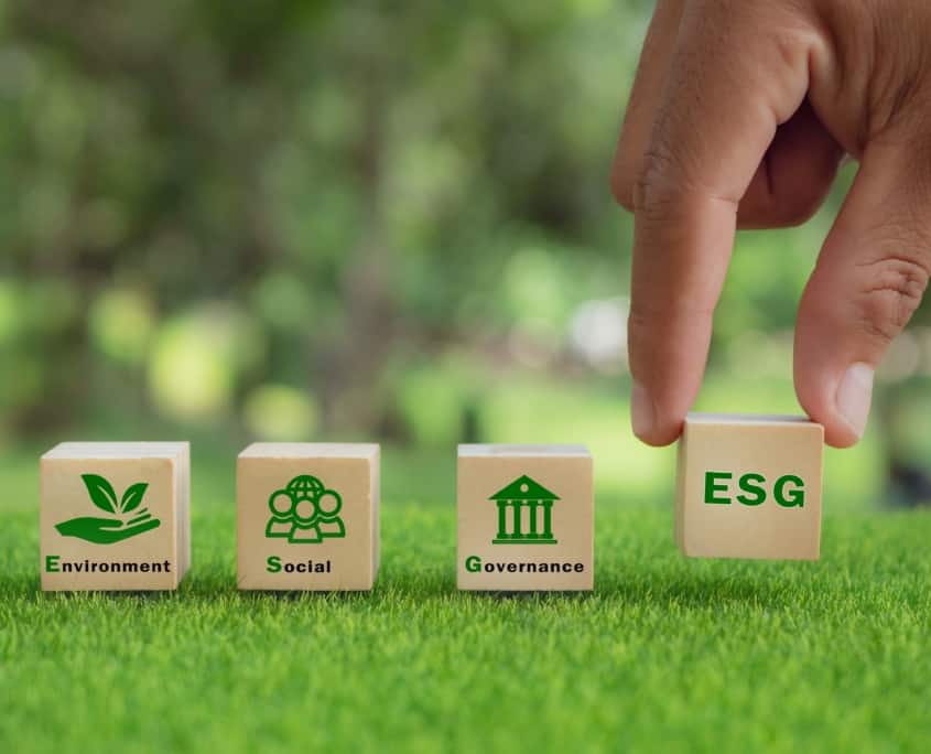 The Importance of Implementing an ESG Roadmap For Your Company